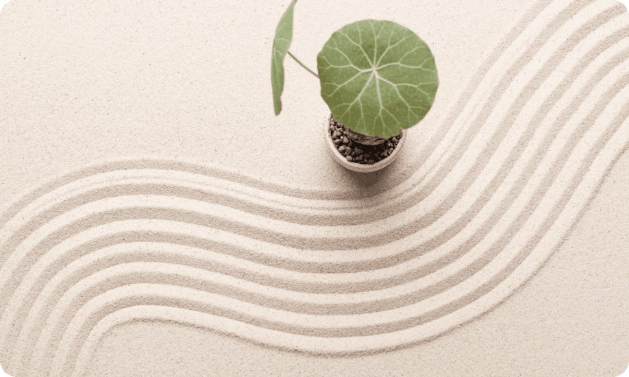 Wellness therapy room interior